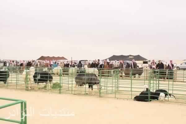 المهرجان الموروث الشعبي الرابع بدولة الكويت ( الجزء الثالث)